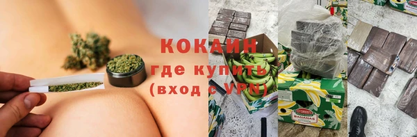 spice Богородицк