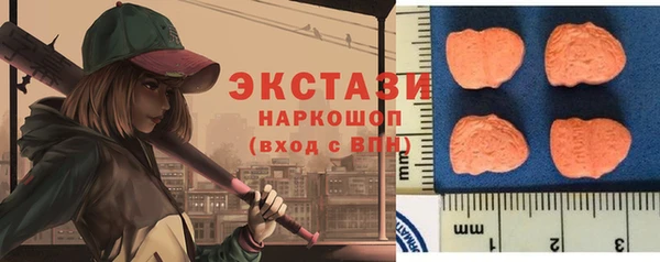 spice Богородицк