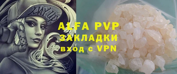 spice Богородицк