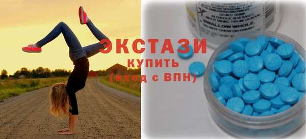 spice Богородицк