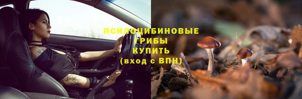 ПСИЛОЦИБИНОВЫЕ ГРИБЫ Богородск