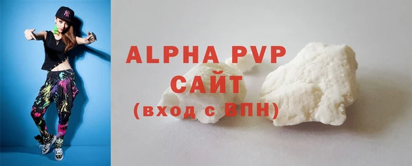 spice Богородицк