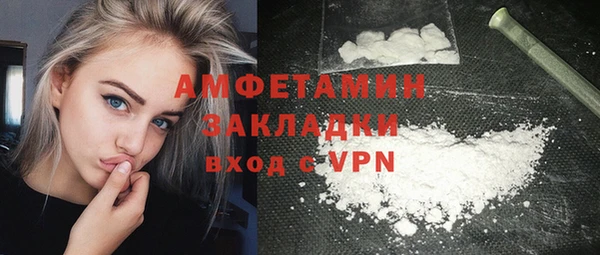 spice Богородицк