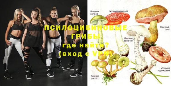 spice Богородицк