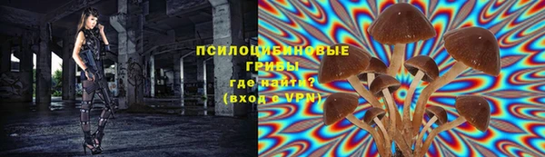 ПСИЛОЦИБИНОВЫЕ ГРИБЫ Богородск