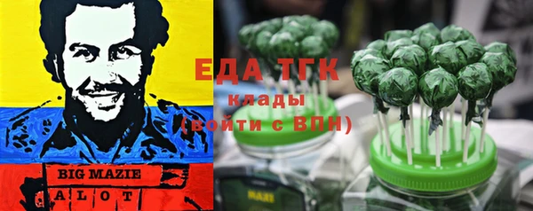 spice Богородицк