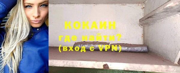 spice Богородицк