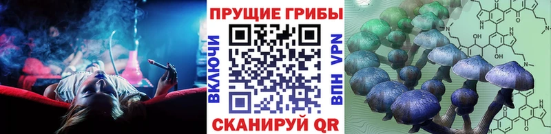 МЕГА маркетплейс  Нижний Новгород  Галлюциногенные грибы Magic Shrooms 