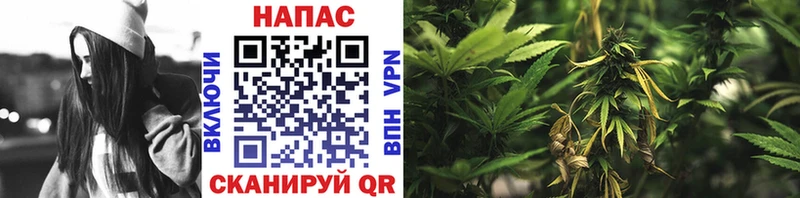 Бошки марихуана White Widow  как найти закладки  Нижний Новгород 